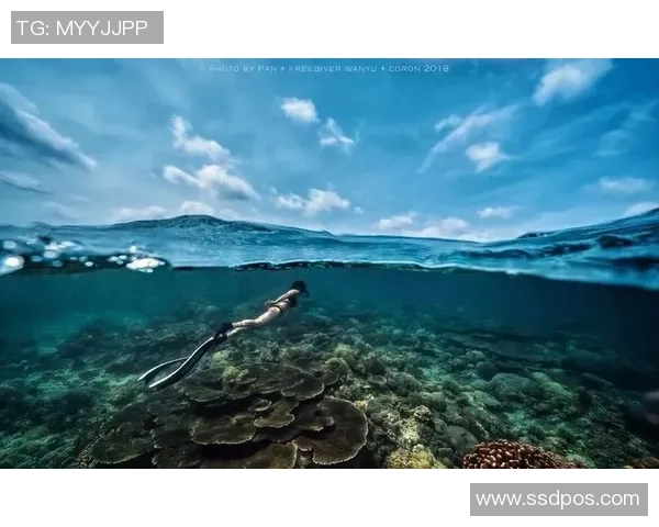 重庆极限运动队与北京极限运动队赛后复盘分析节奏与战术对比